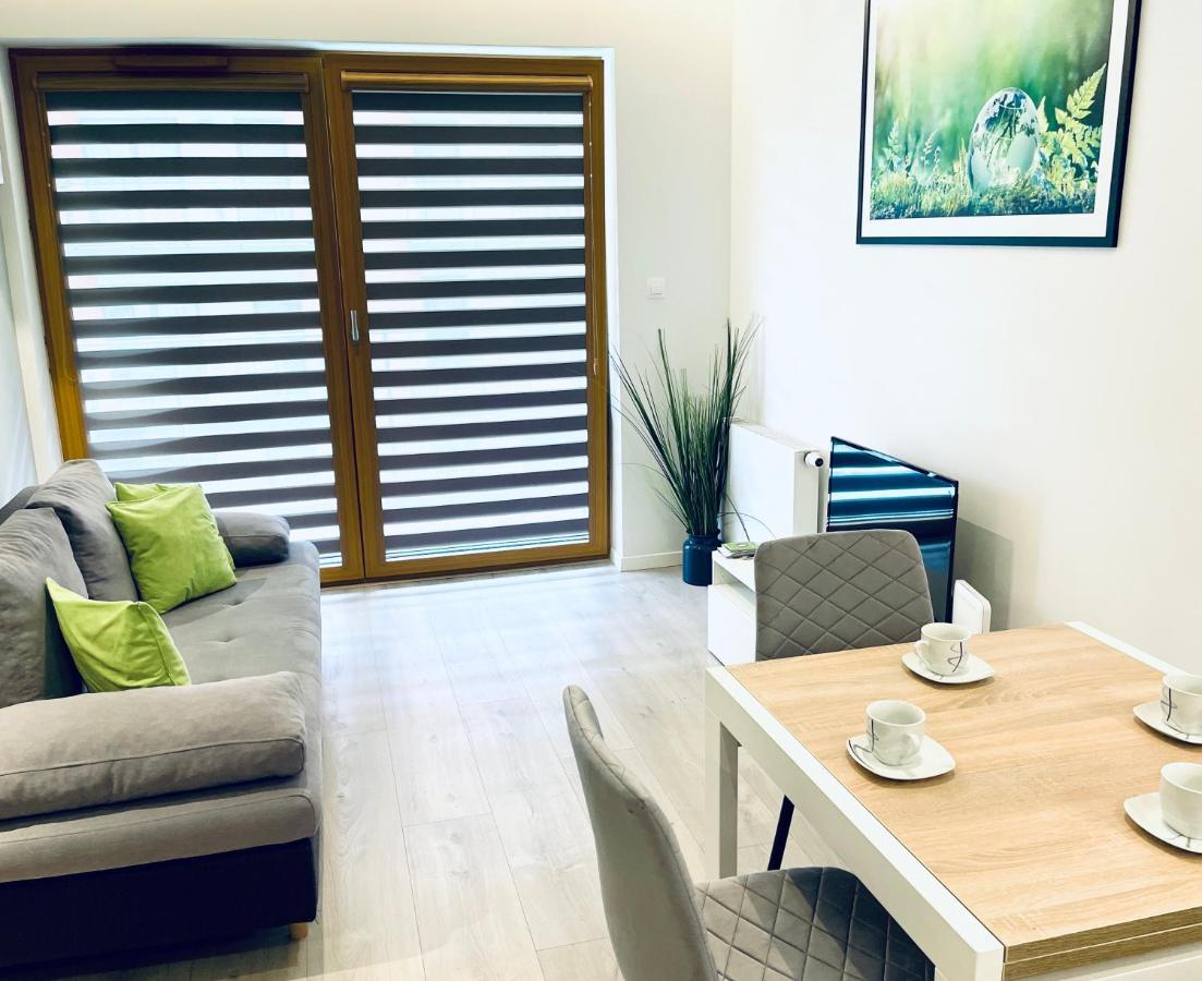 Modern Silver Apartment クラクフ エクステリア 写真