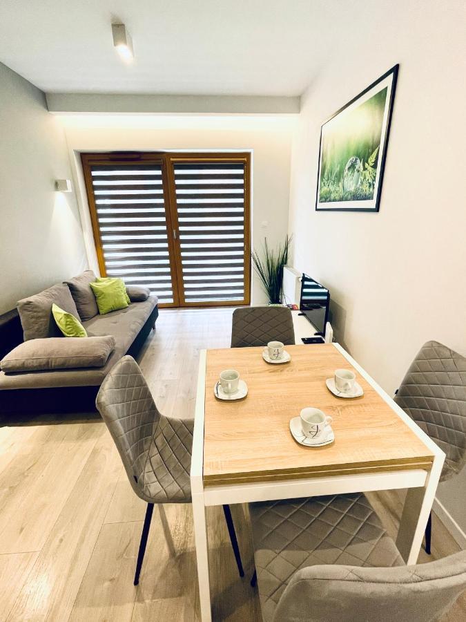 Modern Silver Apartment クラクフ エクステリア 写真